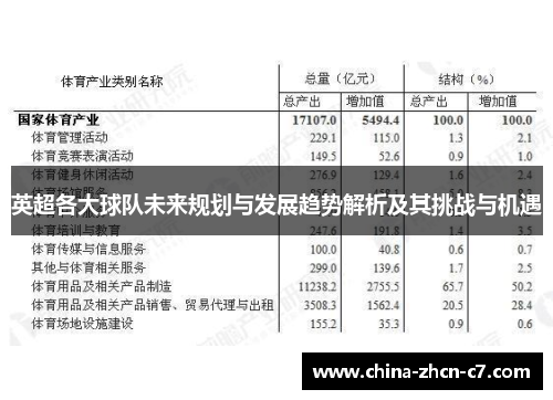 英超各大球队未来规划与发展趋势解析及其挑战与机遇 英超各大球队未来规划与发展趋势解析及其挑战与机遇