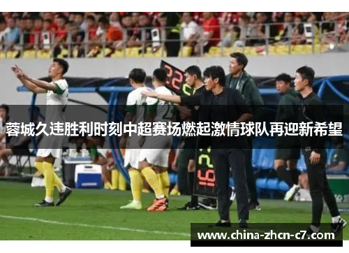 蓉城久违胜利时刻中超赛场燃起激情球队再迎新希望 蓉城久违胜利时刻中超赛场燃起激情球队再迎新希望
